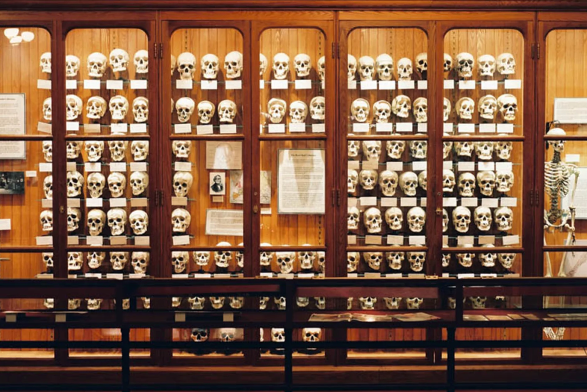 Mutter Museum Header Image